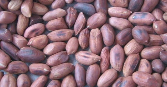 how to roast ground nuts