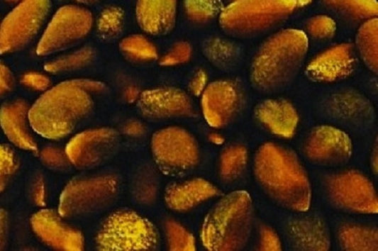 how to roast pinon nuts in the oven