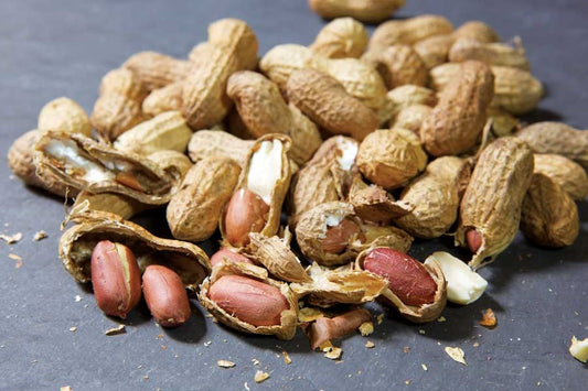 how to roast nuts in shell in oven