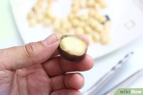 how to roast raw macadamia nuts